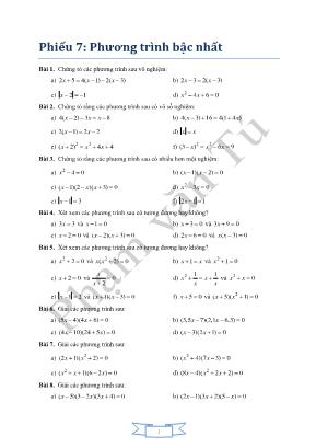 Giáo án lớp 8 môn Đại số - Phương trình bậc n